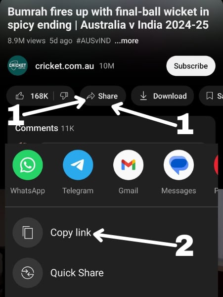 Step 1: Copy Video Link