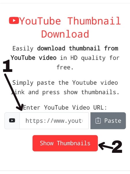 Step 2: Paste the link